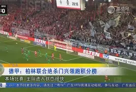 柏林联合比赛